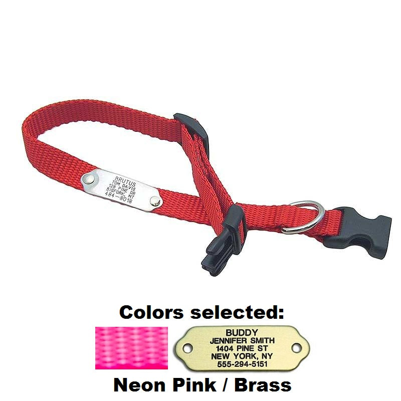 Rivet ID Collar for Dogs, - Lucky Pet